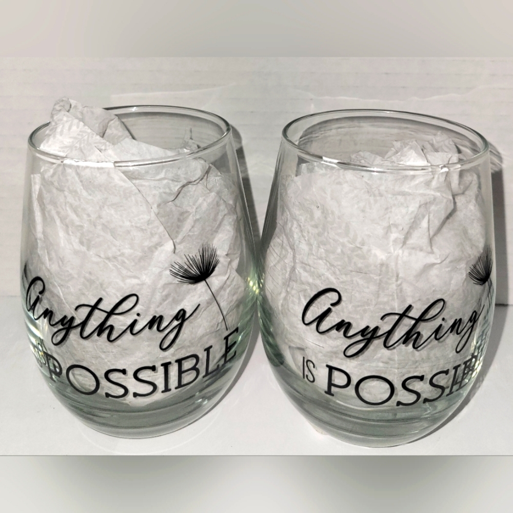 2 Piece Stemless Wine Glass Set (Anything is Possible)
